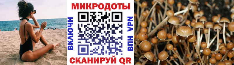 цена наркотик  Вуктыл  Псилоцибиновые грибы GOLDEN TEACHER 